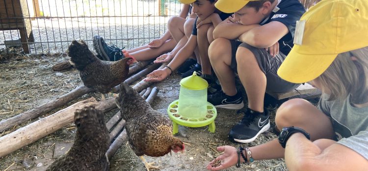 Besuch auf dem Bauernhof