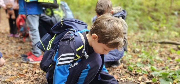 Waldtag der 3. Klassen Waldtag der 3. Klassen