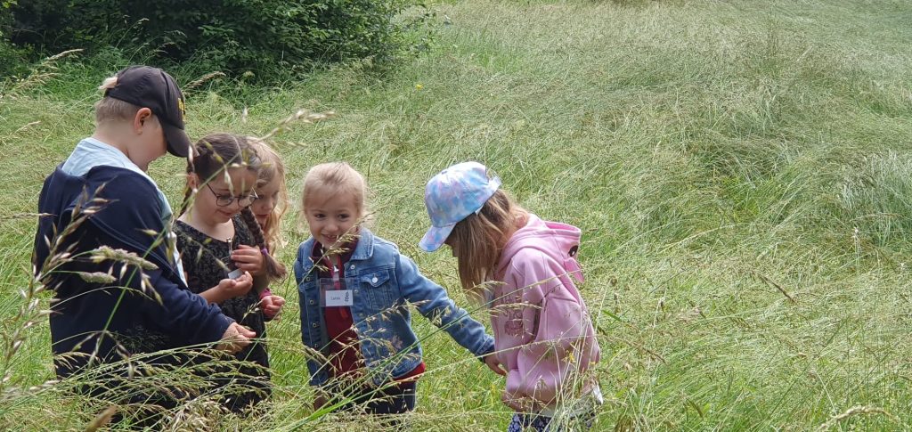 Abenteuer Wiese – Ein erlebnisreicher Tag im Botanischen Garten
